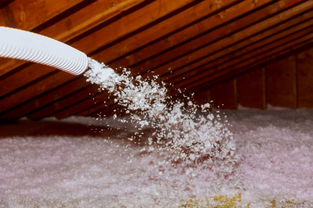 Types of Insulation We Offer in Lutherville, MD