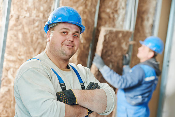 Best Insulation Maintenance and Repair in Lutherville, MD