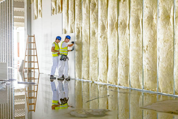 Best Cellulose Insulation in Lutherville, MD